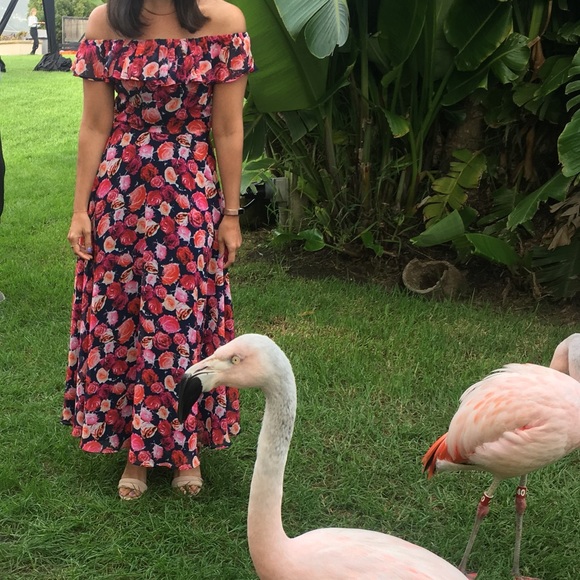 Meet your Posher, Adina. Im 5’1; Wear mostly petite sizes, XS, S, M. - Picture 2 of 3